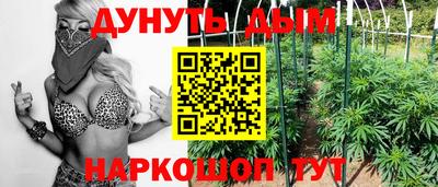бошки Шелехов