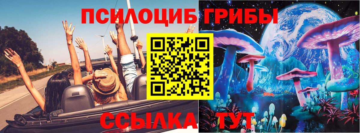 Псилоцибиновые грибы GOLDEN TEACHER  наркошоп  Галлюциногенные грибы ЛСД  Назарово  Вход с VPN 